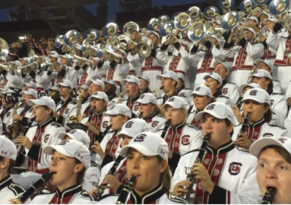 Marching Band Ear Plugs