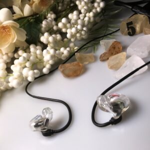 Custom In Ear Monitors