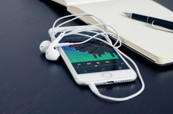 iPod Ear Bud Adapters